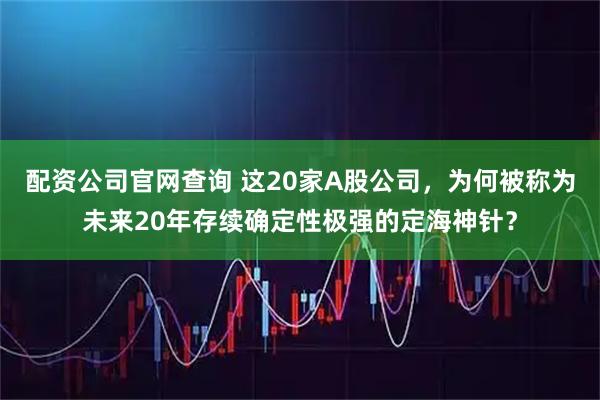 配资公司官网查询 这20家A股公司，为何被称为未来20年存续确定性极强的定海神针？